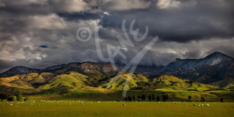 NEW ZEALAND Te Anau